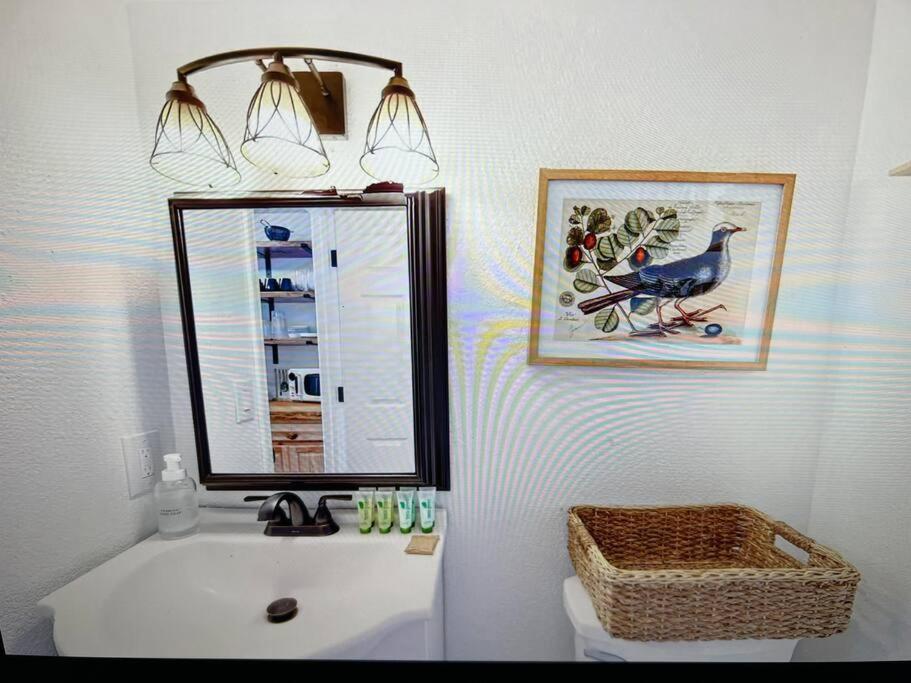 New Modern Boho Apt- Close To Yosemite Oakhurst Luaran gambar